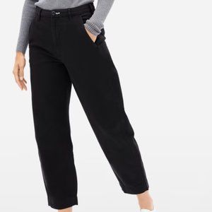Everlane Arc Canvas Pant